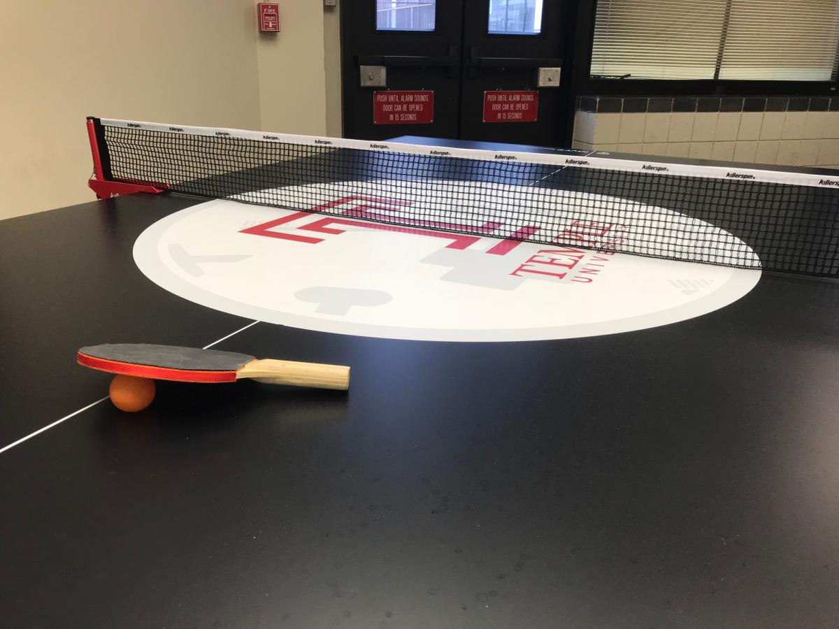 SFC Ping Pong Table with Paddle